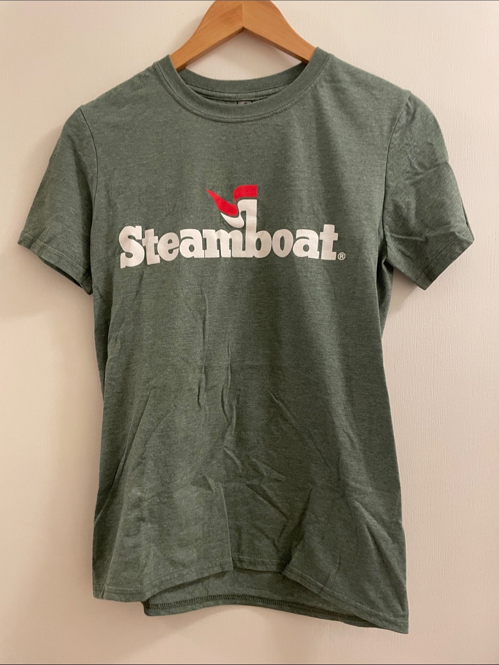 Steamboat Logo Short Sleeve Tee in Green